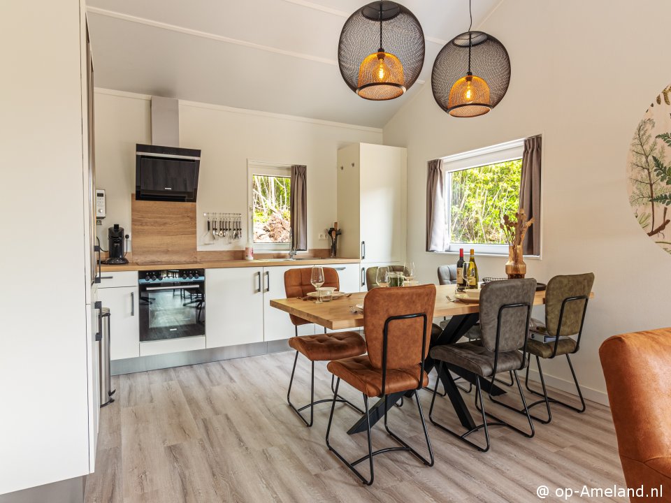  Nesserduinen 42D